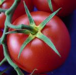 Seminte Tomate Enygma F1
